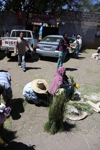 Ethiopië (nov. 2013) (7)