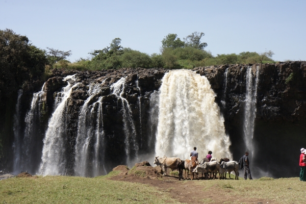 Ethiopië (nov. 2013) (34)