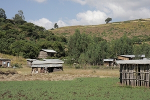 Ethiopië (nov. 2013) (74)