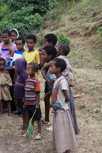 Ethiopië (nov. 2013) (81)