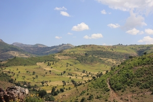Ethiopië (nov. 2013) (85)