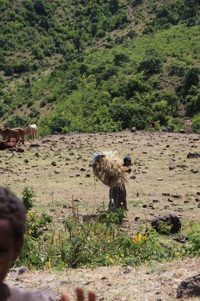 Ethiopië (nov. 2013) (86)
