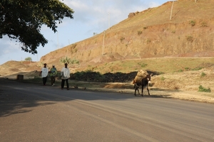 Ethiopië (nov. 2013) (127)