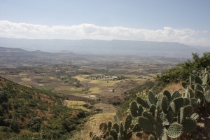 Ethiopië (nov. 2013) (129)
