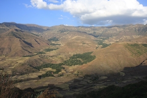 Ethiopië (nov. 2013) (171)