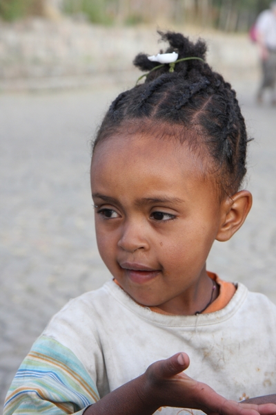 Ethiopië (nov. 2013) (217)