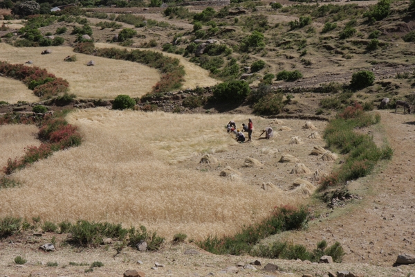 Ethiopië (nov. 2013) (222)