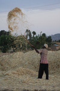 Ethiopië (nov. 2013) (254)