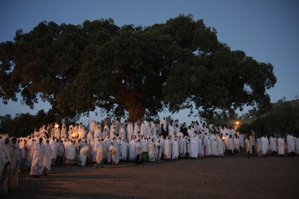 Ethiopië (nov. 2013) (262)