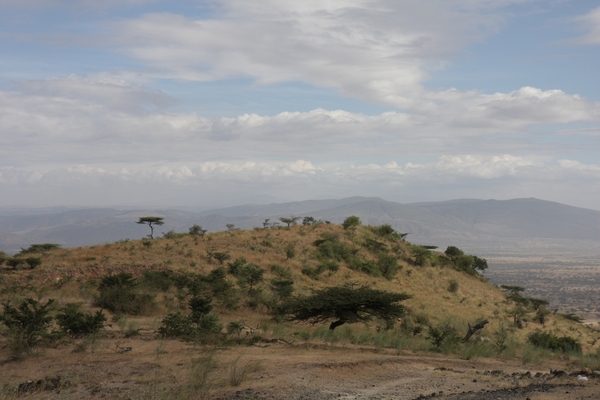 Ethiopië (nov. 2013) (265)