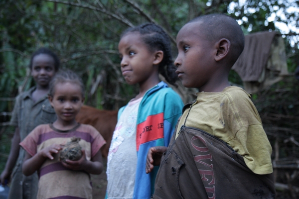 Ethiopië (nov. 2013) (269)