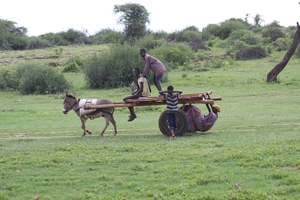 Ethiopië (nov. 2013) (296)