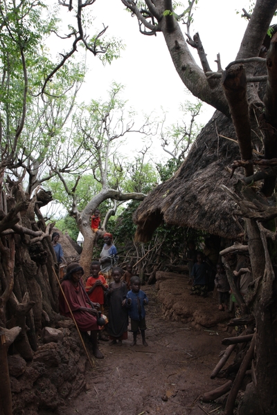 Ethiopië (nov. 2013) (316)