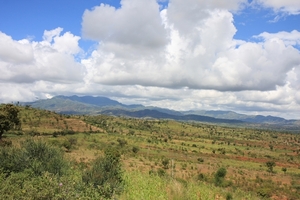 Ethiopië (nov. 2013) (336)