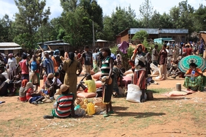 Ethiopië (nov. 2013) (347)