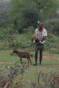 Ethiopië (nov. 2013) (470)