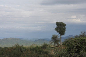Ethiopië (nov. 2013) (521)