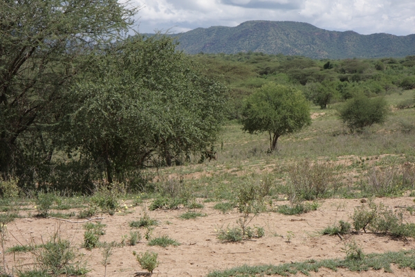 Ethiopië (nov. 2013) (564)