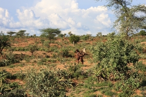 Ethiopië (nov. 2013) (574)