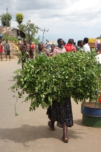 Ethiopië (nov. 2013) (612)