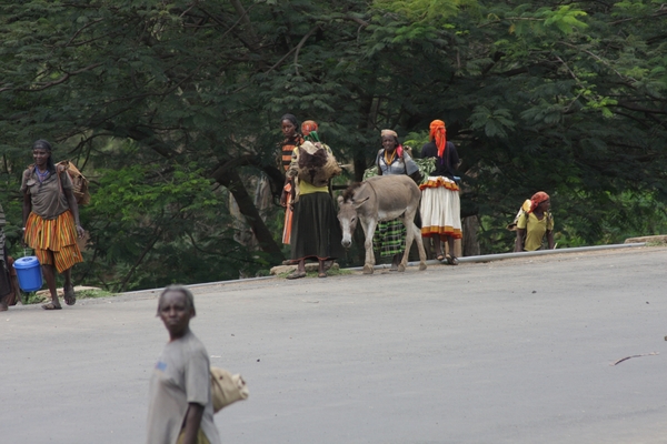 Ethiopië (nov. 2013) (620)