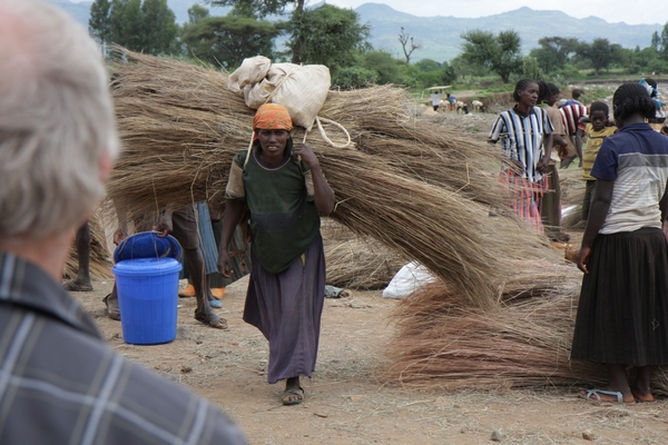 Ethiopië (nov. 2013) (629)