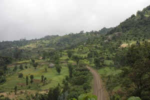 Ethiopië (nov. 2013) (660)