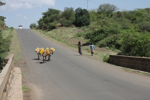 Ethiopië (nov. 2013) (701)