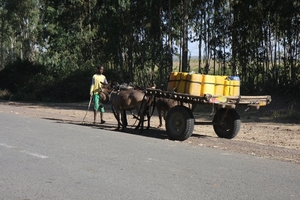 Ethiopië (nov. 2013) (705)