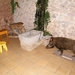 2014_07_20 Ecomuse Treignes 35