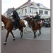 sized_P1090294