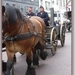 sized_P1090313