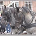sized_P1090440