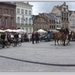 sized_P1090457