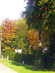 Herfst 2008