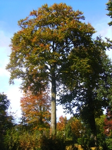 Herfst 2008