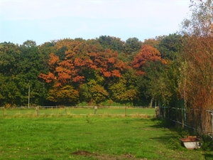 Herfst 2008