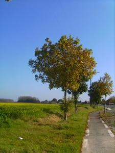 De Vlaamse Ardennen