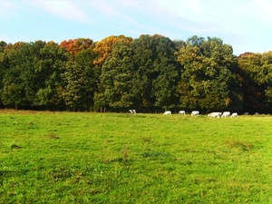 Herfst 2008