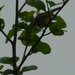 DSCN5623