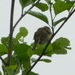 DSCN5624