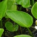 DSCN5626