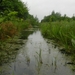 DSCN5633