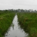 DSCN5634