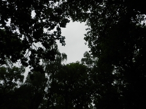 DSCN5650