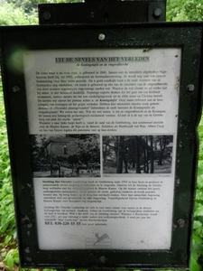 DSCN5653