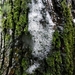 DSCN5654