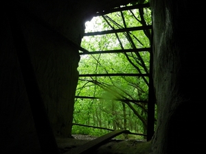 DSCN5655