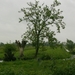 P1390583