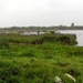 P1390598